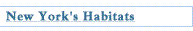 [New York's Habitats]