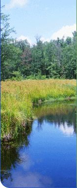 Poestenkill Headwaters, Rensselaer County